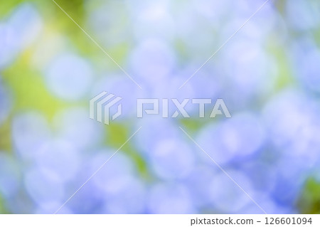 Light blue, purple, green, plant out-of-focus background material Light blue, purple, green, plant out-of-focus background material 126601094