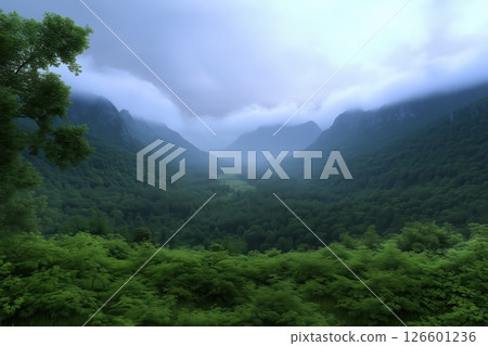 mountain landscape, view of foggy forest valley 126601236