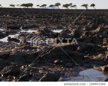 Scenery at low tide near Clairview Boat Ramp, Queensland, Australia 126601486