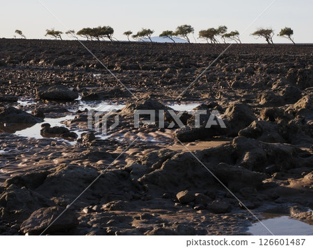 澳洲昆士蘭州克萊爾維尤船坡附近的退潮風景 澳洲昆士蘭州克萊爾維尤船坡附近的退潮風景 126601487