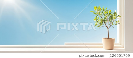 Open Window with Potted Tree and Clear Blue Sky Open Window with Potted Tree and Clear Blue Sky 126601709