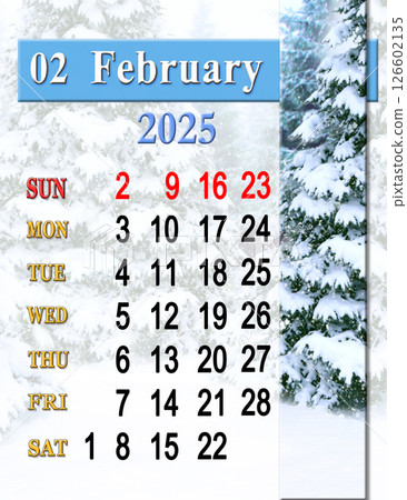 Monthly planner. February planner for 2025. Daily organizer. February planner 126602135