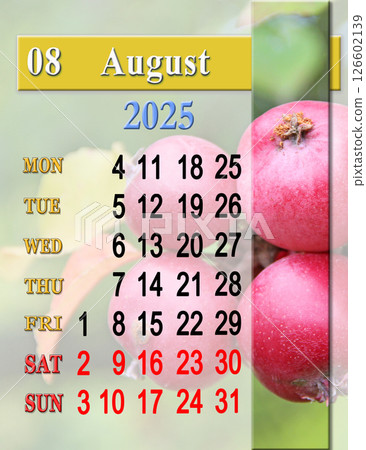 calendar for August with photo of ripe apples on branch. Calendars for printing 126602139