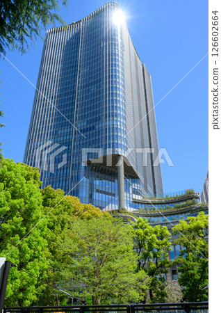 Fresh greenery at Hibiya Park and Tokyo Midtown Hibiya [Tokyo] 126602664