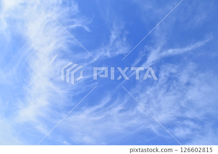 清晨的條紋（修復照片） 126602815