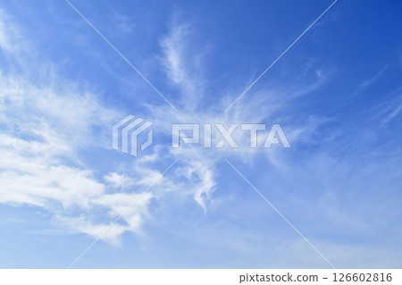 清晨的條紋（修復照片） 126602816