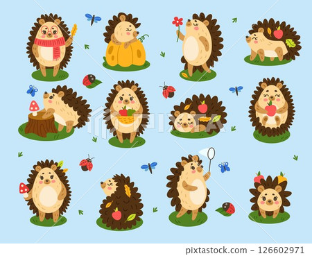 Hedgehog, woodland mascot. Cute animal, cartoon autumn wildlife or zoo character different actions. Forest happy childish design. Funny ladybug and butterfly vector creature tidy isolated illustration 126602971