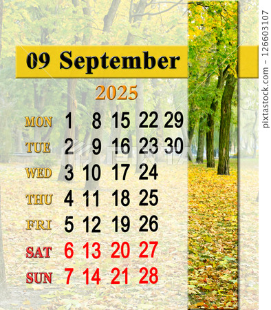September calendar 2025 with photo of autumn park. Office planner September calendar 2025 with photo of autumn park. Office planner 126603107