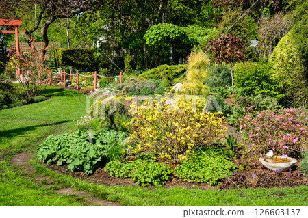 A vibrant, well-maintained ornamental Lush Flower Garden with Decorative Rock and Mulch. Ideal image for themes related to landscaping, gardening, backyard design, and nature aesthetics. 126603137