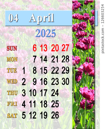 calendar for April with photo of blossoming bed of lilac tulips. Monday start calendar for April with photo of blossoming bed of lilac tulips. Monday start 126603254