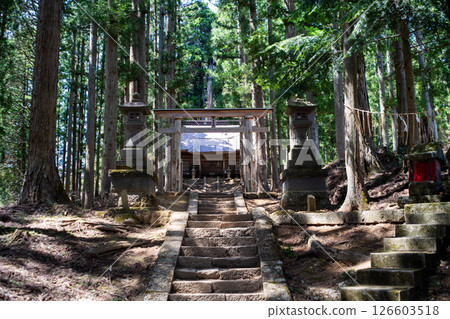 福島縣下鄉町綠蔭環繞的大內守護神高倉神社 126603518