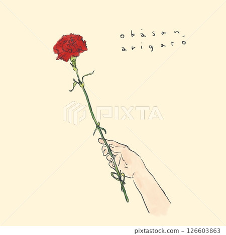 母親節送一枝康乃馨 126603863