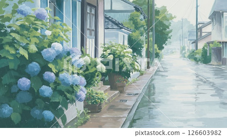 雨水浸透的繡球花和安靜的住宅區雨季插圖素材_1 126603982