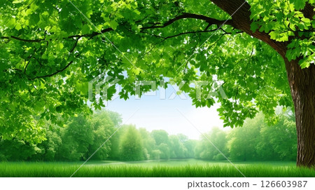 Sunny summer landscape viewed from under lush green tree leaves 126603987