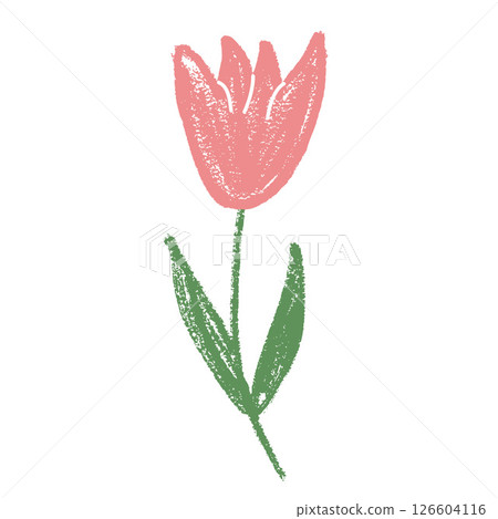 Tulip flower crayon drawn. Spring crocus plant doodle isolated on white background. Summer floral kids element. Chalk or pastel style childish scrawl nature shape. Vector naive illustration by pencil 126604116