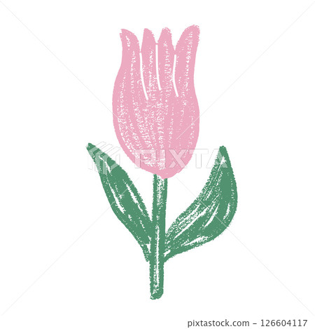 Tulip flower crayon drawn. Spring pink crocus plant doodle isolated on white background. Summer floral element. Chalk or pastel style childish scrawl nature shape. Vector naive illustration by pencil 126604117