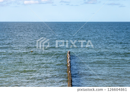 Seaside view featuring a wooden groyne extending into the ocean 126604861