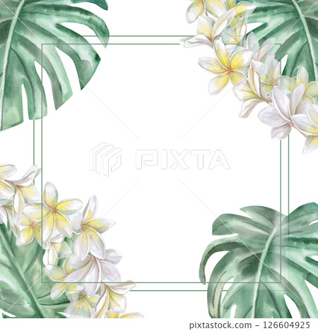Square frame with corner elements, plumeria flowers and monstera leaves. Isolated watercolor illustration for restaurant menu design, interior, wedding cards, poster printing. Square frame with corner elements, plumeria flowers and monstera leaves. Isolated watercolor illustration for restaurant menu design, interior, wedding cards, poster printing. 126604925