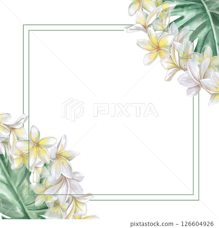 Square frame with plumeria flowers and monstera leaves. Isolated watercolor illustration for restaurant menu design, interior, wedding cards, poster printing. Square frame with plumeria flowers and monstera leaves. Isolated watercolor illustration for restaurant menu design, interior, wedding cards, poster printing. 126604926