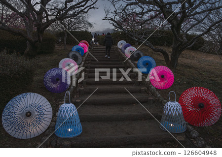 Illuminated Japanese umbrellas at Iwamotoyama Park in Fuji City (Shizuoka Prefecture) Illuminated Japanese umbrellas at Iwamotoyama Park in Fuji City (Shizuoka Prefecture) 126604948