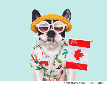Cute puppy, sun hat, sunglasses and Canadian Flag. Studio shot Cute puppy, sun hat, sunglasses and Canadian Flag. Studio shot 126605003