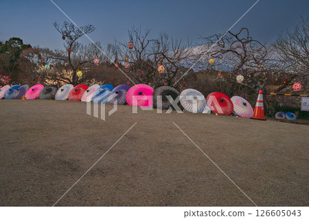 富士市岩本山公園的日式遮陽傘(靜岡縣) 富士市岩本山公園的日式遮陽傘(靜岡縣) 126605043