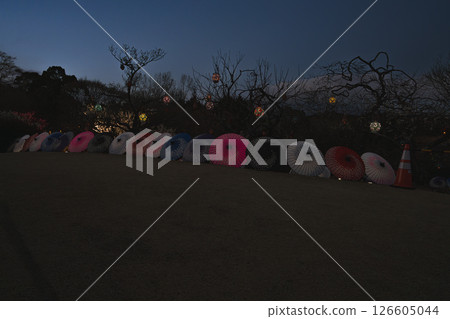 富士市岩本山公園的日式遮陽傘（靜岡縣） 126605044