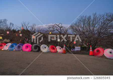 富士市岩本山公園的日式遮陽傘(靜岡縣) 富士市岩本山公園的日式遮陽傘(靜岡縣) 126605045