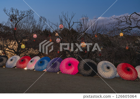 Illuminated Japanese umbrellas at Iwamotoyama Park in Fuji City (Shizuoka Prefecture) 126605064