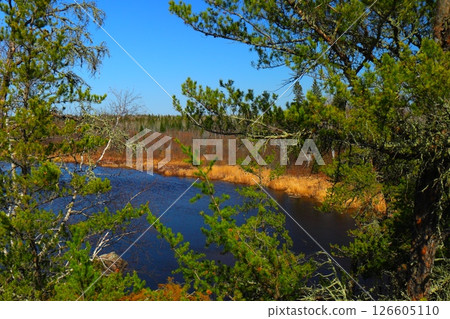 river among coniferous forest and rocks, northern nature river among coniferous forest and rocks, northern nature 126605110