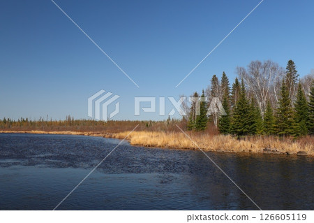 river among coniferous forest and rocks, northern nature 126605119