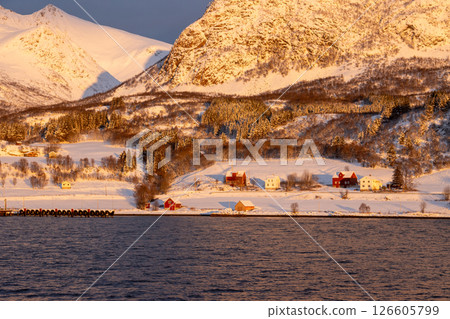 Coast of island Grytoya in winter sunrise, Norway 126605799