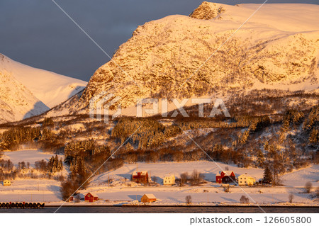Coast of island Grytoya in winter sunrise, Norway 126605800