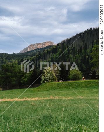 Lush green valley with trees and grassy field leading to forested slopes and rocky mountain peak, creating serene and picturesque landscape. Verdant valley stretching toward forested mountainside Lush green valley with trees and grassy field leading to forested slopes and rocky mountain peak, creating serene and picturesque landscape. Verdant valley stretching toward forested mountainside 126605951