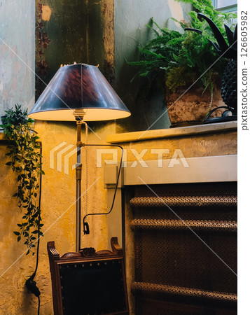 Vintage floor lamp casting warm light near potted greenery and rustic wooden chair, forming intimate home interior ambiance. Vintage floor lamp with dark lampshade create cozy and atmospheric setting Vintage floor lamp casting warm light near potted greenery and rustic wooden chair, forming intimate home interior ambiance. Vintage floor lamp with dark lampshade create cozy and atmospheric setting 126605982