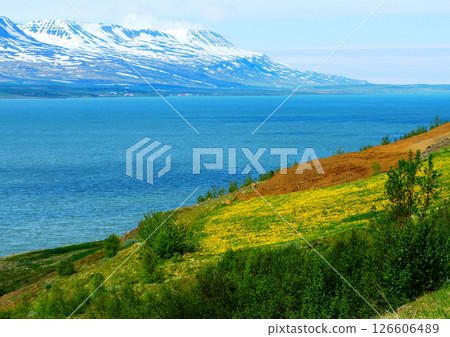 Iceland Akureyri Idyllic landscape. fjord Snow mountain Sulur 126606489