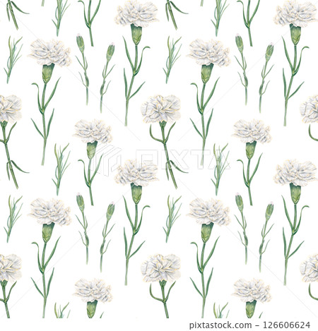 White carnation on green stems and with buds watercolor seamless pattern isolated background. Hand painted garden flowers for bridal stationery, luxury packaging, home textile, wedding decor 126606624