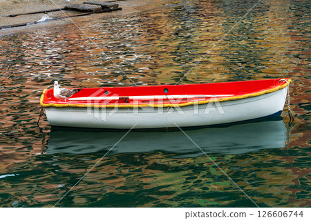 Red and White Rowboat with Seagull Floating on Colorful Reflective Water Red and White Rowboat with Seagull Floating on Colorful Reflective Water 126606744