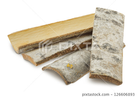 piece of aspen bark isolated on white background. 126606893