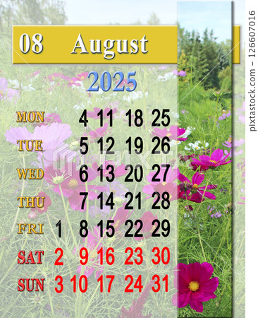 calendar for August with photo of echinocystis blooming in garden 126607016