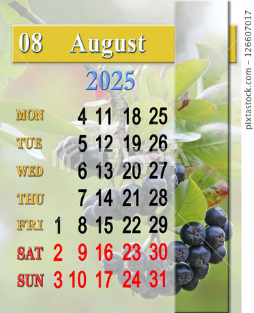 calendar for August with photo. Monday start. Monthly planner calendar for August with photo. Monday start. Monthly planner 126607017