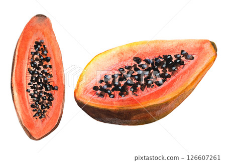 Watercolor Papaya Half Sweet Fruit Illustration 126607261
