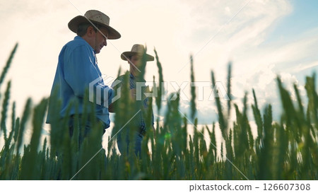 farmer tablet work, Rural landscape with working farmers, Agriculture life captured, Green wheat field exploration, Two men evaluating harvest, Farmer teamwork for productivity, Traditional farming 126607308
