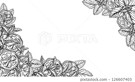 Monochrome citrus slices and mint leaves horizontal vector frame with copy space for text. Lemon fruit with herbs illustration. Floral border for beverage labels, spa menus, healthy food packaging. 126607403