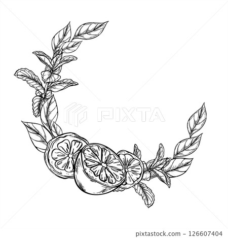 Citrus fruits and mint branches monochrome vector wreath in black and white linear style. Lemon fruit and herbs illustration for wedding invitations, spa branding, organic product labels. Citrus fruits and mint branches monochrome vector wreath in black and white linear style. Lemon fruit and herbs illustration for wedding invitations, spa branding, organic product labels. 126607404