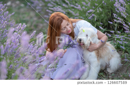 A woman sits with a dog in a field of purple flowers 126607589
