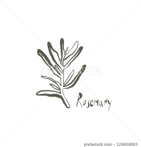 Hand drawn rosemary twig illustration with bold uneven line for organic products and minimalist botanical design 126608003