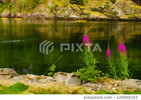 Fjord shore and people kayaking Fjord shore and people kayaking 126608183