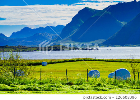 Bale of hay wrapped in plastic foil, Norway 126608396
