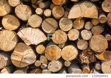 firewood outdoor background. natural fuel and energy concept. woodpile texture 126608491